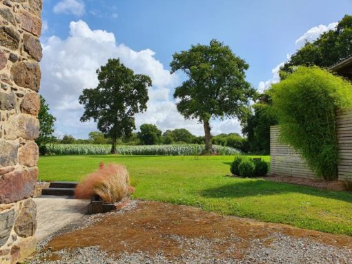 Jardin-Douar-Bouillon-Gîte-de-Bretagne