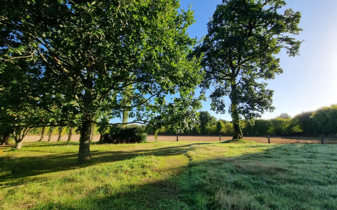 Grand jardin arboré des gîtes Douar Bouillon